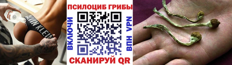 OMG ссылка  Алдан  Галлюциногенные грибы MAGIC MUSHROOMS 